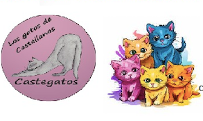 Castellanos de Moriscos acoge el V Mercadillo Solidario de la protectora Castegatos