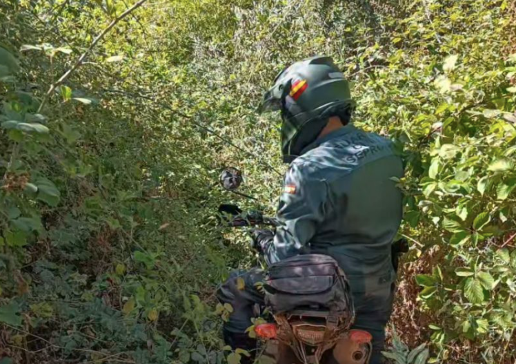El SEPRONA investiga a tres furtivos en Macotera por cazar con galgos y visor térmico