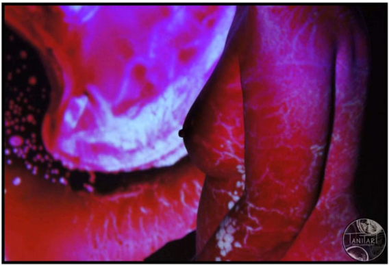 La Facultad de Filología acoge la exposición fotográfica Proyecto Aletheia  