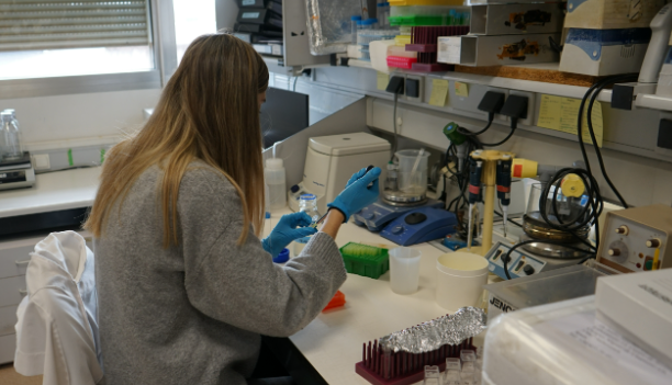 El Centro de Investigación del Cáncer recibe un millón de euros para un proyecto pionero que busca prevenir la leucemia infantil