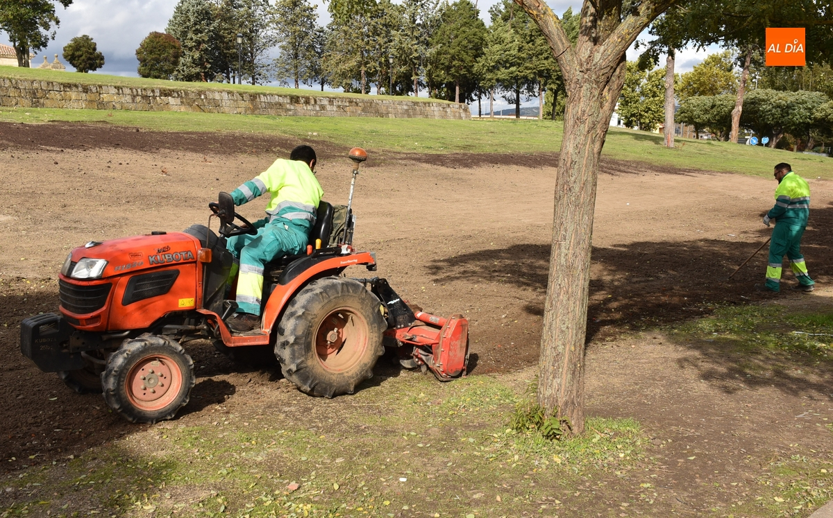 El Ayuntamiento intenta darle verdor a la zona alta de los Pinos sembrando césped