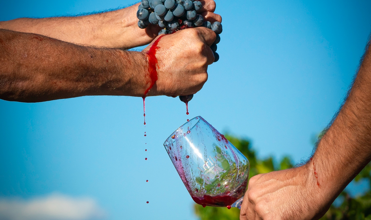 Los vinos de la D.O. Arribes brillan en la Guía Gourmets con 24 referencias por encima de 90 puntos