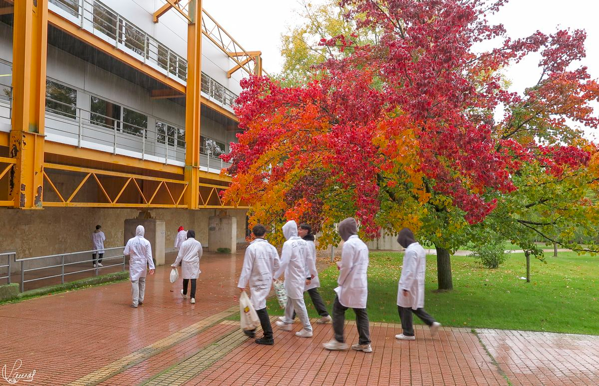 Depende de tu actitud