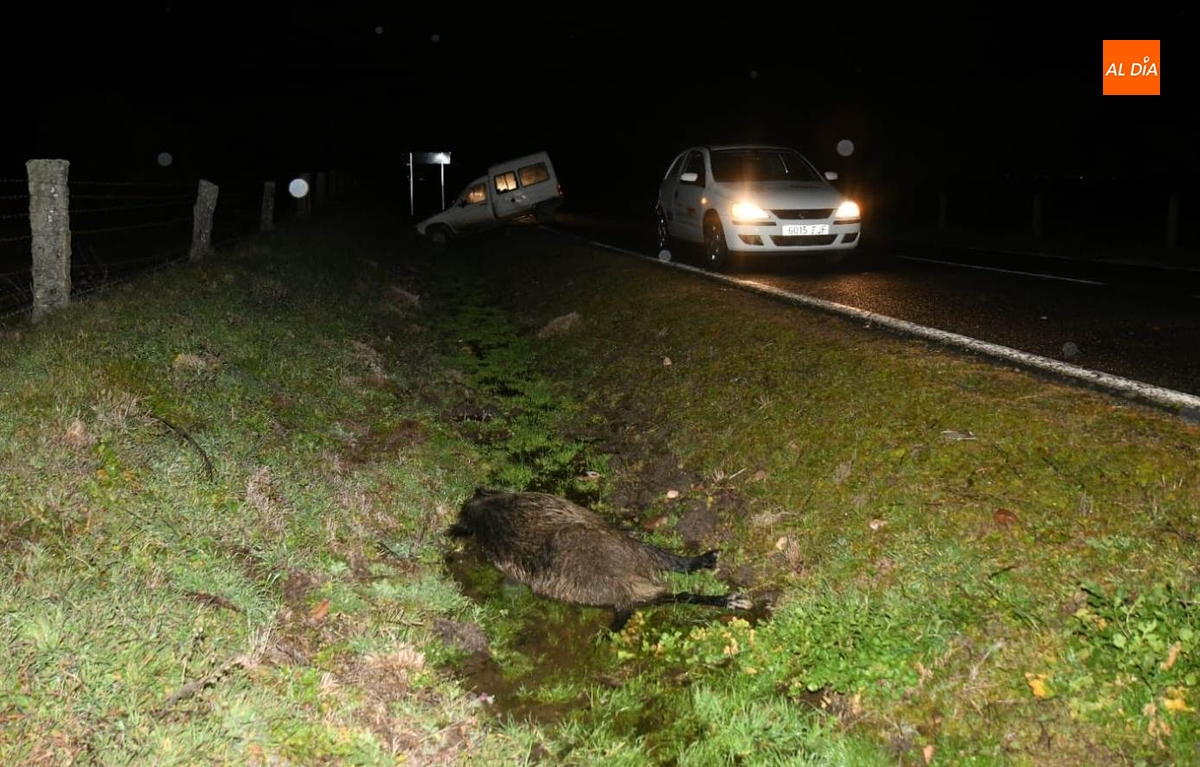 La carretera de Saelices incorporará medidas para reducir los accidentes por culpa de animales