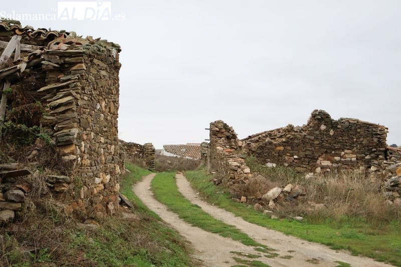Impulso a las pedanías de Alba: 163.000 euros para renovar calles en Palomares y Torrejón