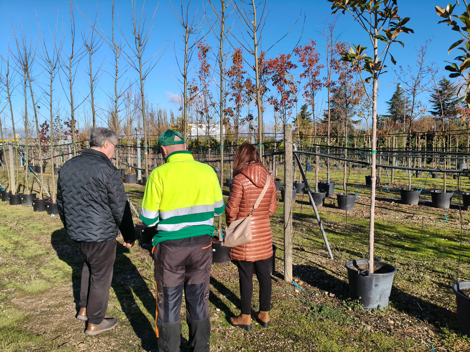 Carbajosa renovará sus zonas verdes con la plantación de 42 nuevos árboles