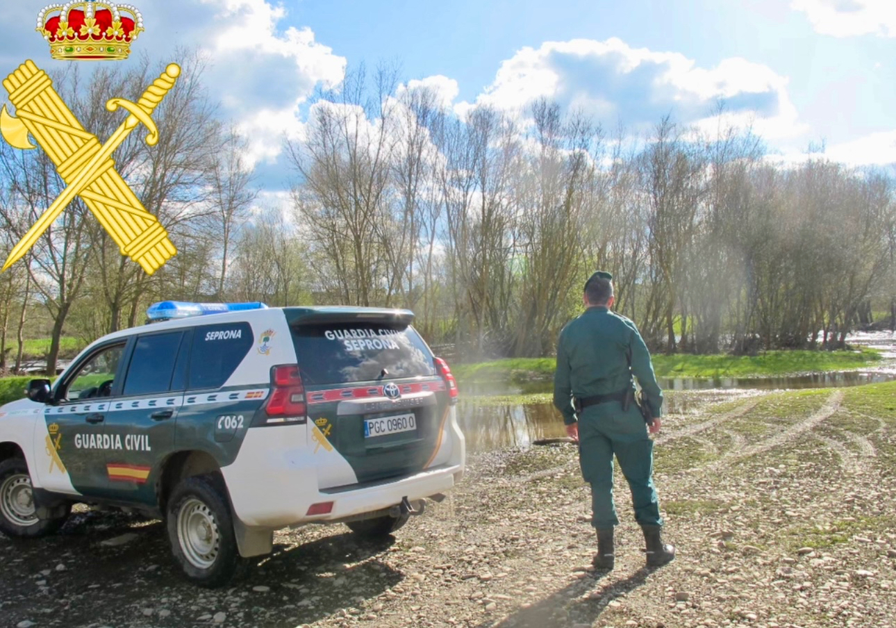 La Guardia Civil sorprende a tres hombres cazando con galgos de forma ilegal en Macotera