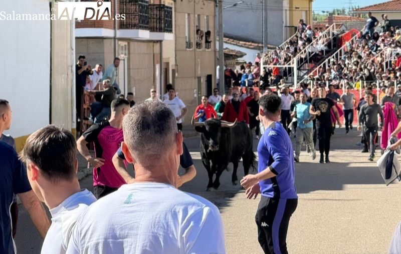 Villoria pone fecha al Toro del Voto 2026 y activa la maquinaria festiva