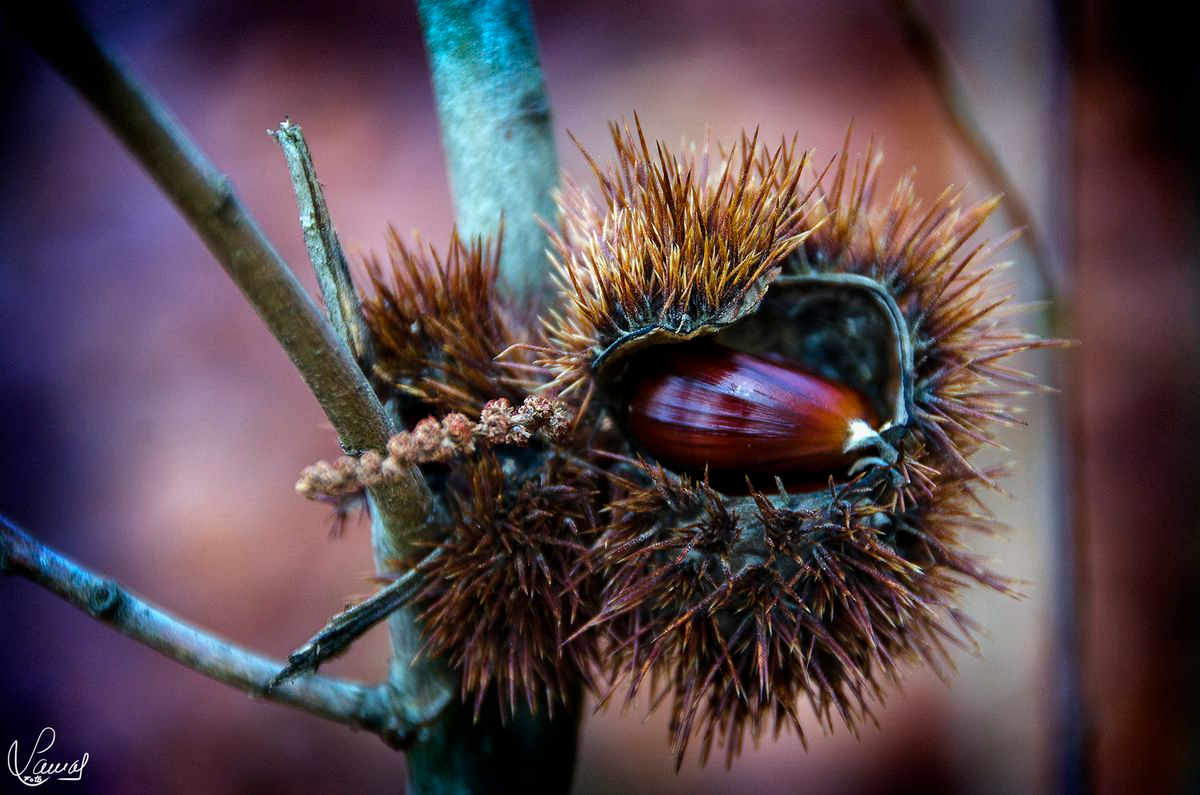 La estación del alma 