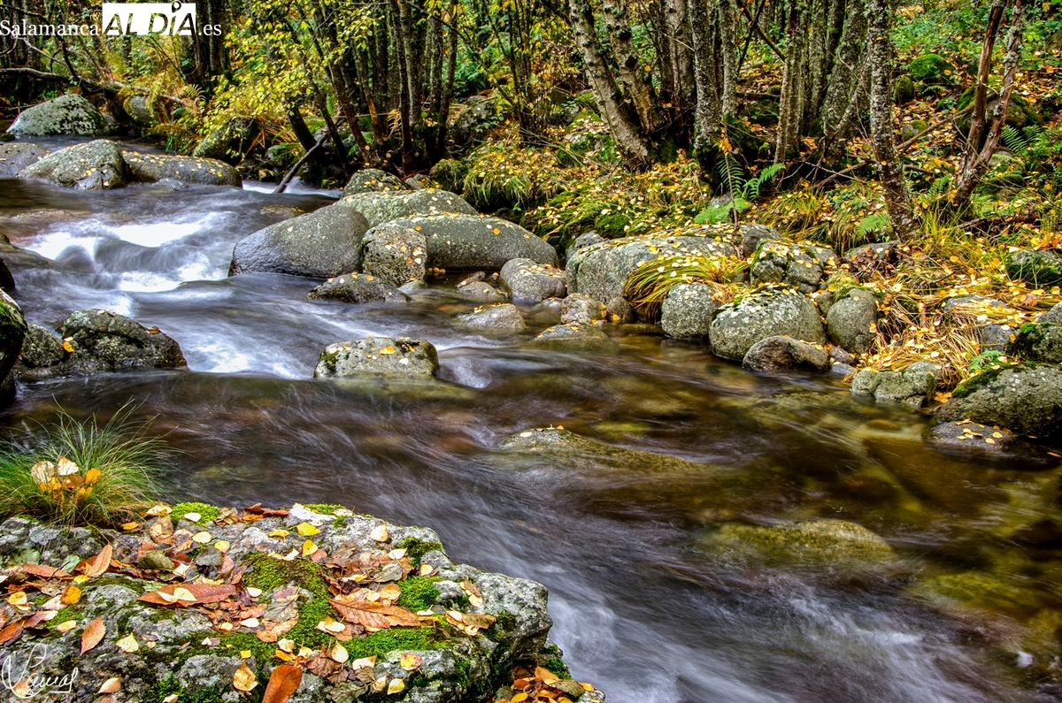 VÍDEO | Así transforma el otoño el paisaje de Salamanca