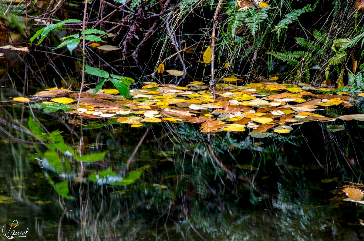 Anchura, profundidad, distancia 