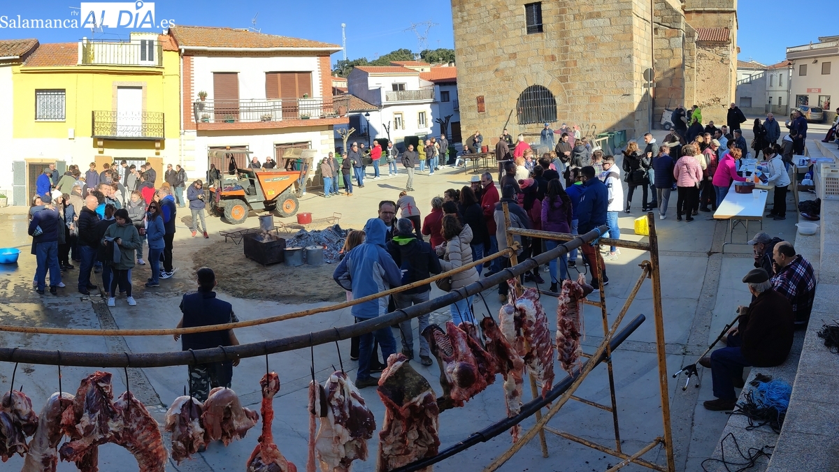Saucelle celebra su Semana Cultural con una matanza solidaria por los afectados del incendio de Cipérez