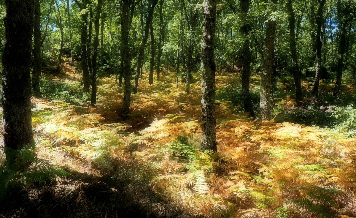 Un préstamo de tus hijos