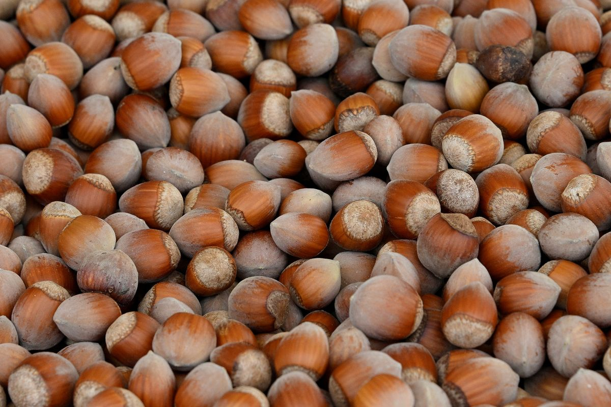 Una economía saludable