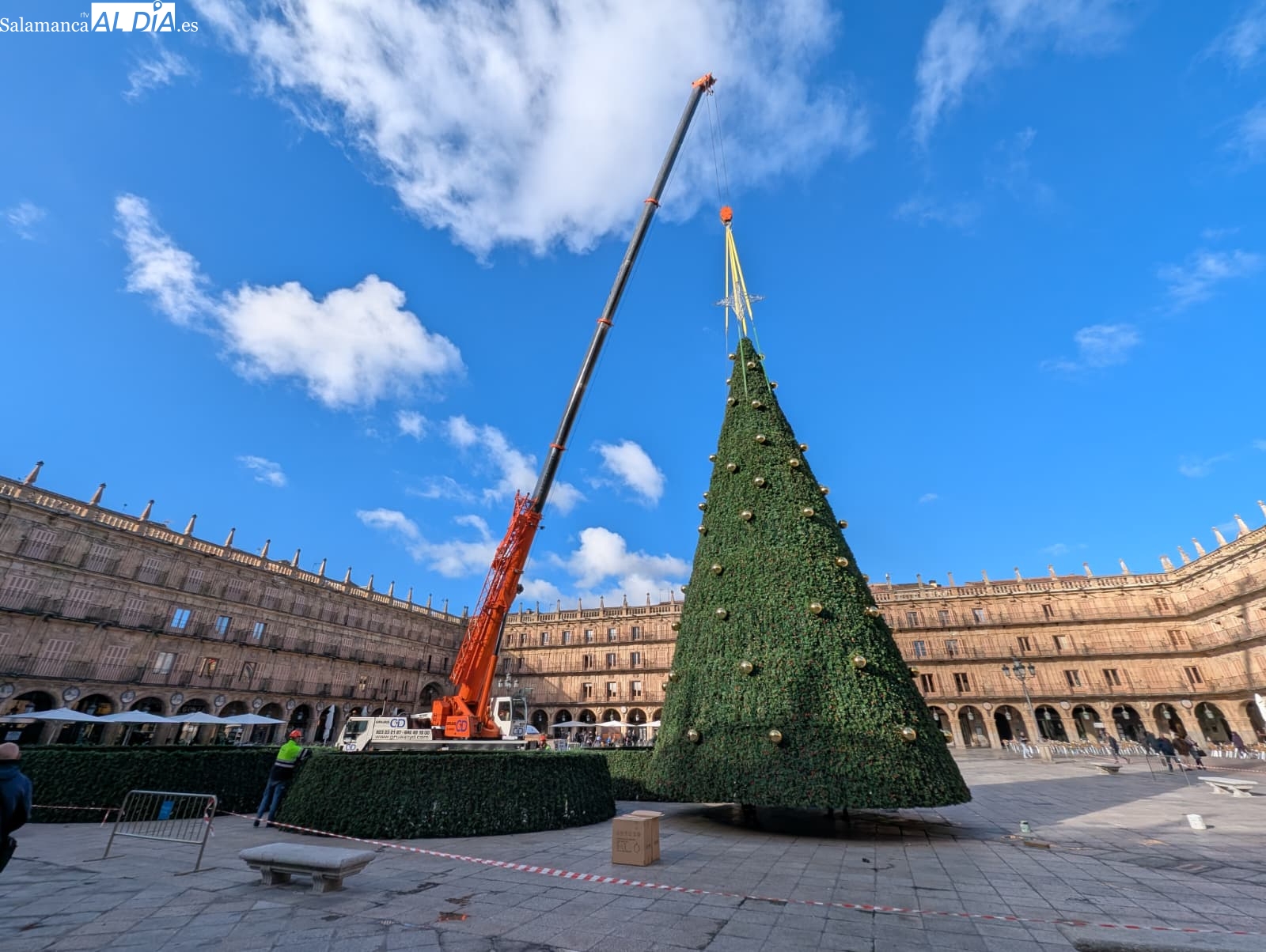 VÍDEO Y FOTOS | Ya hay árbol de Navidad en la Plaza Mayor de Salamanca 