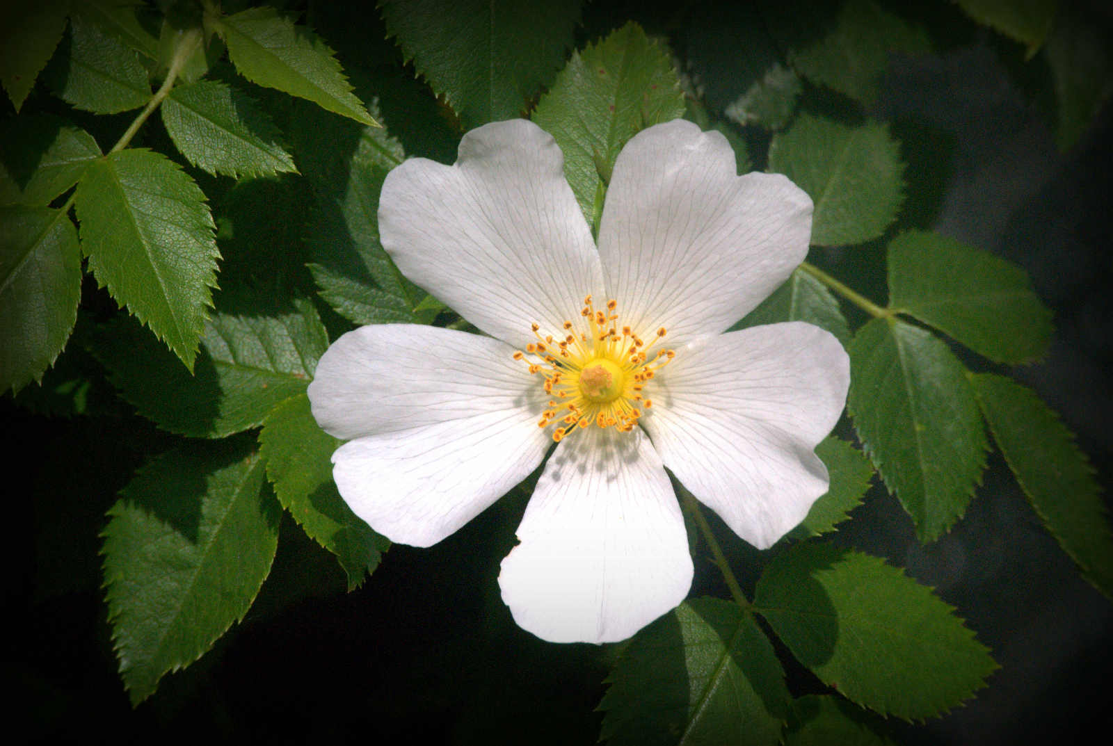 Una mirada a lo eterno