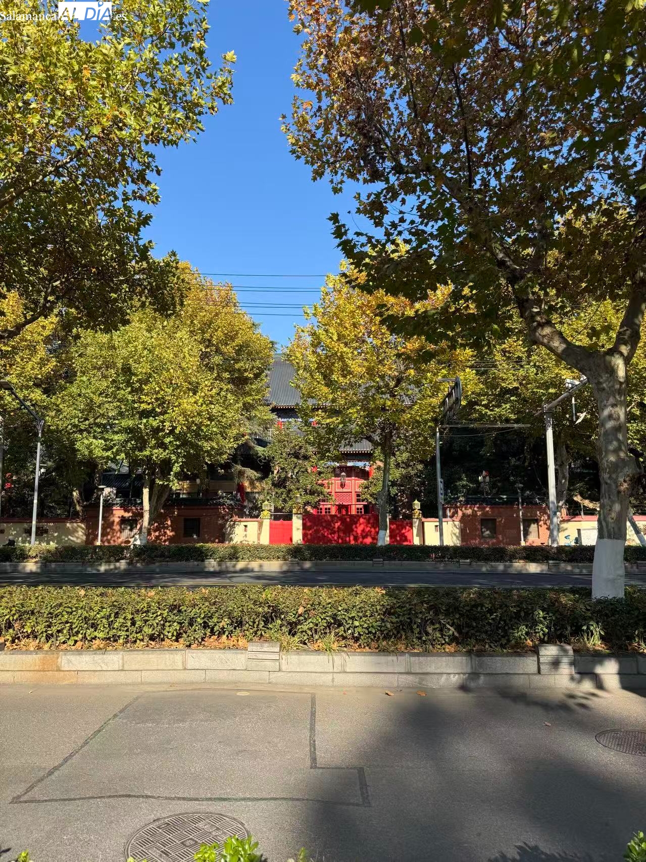 La lectura, una reescritura