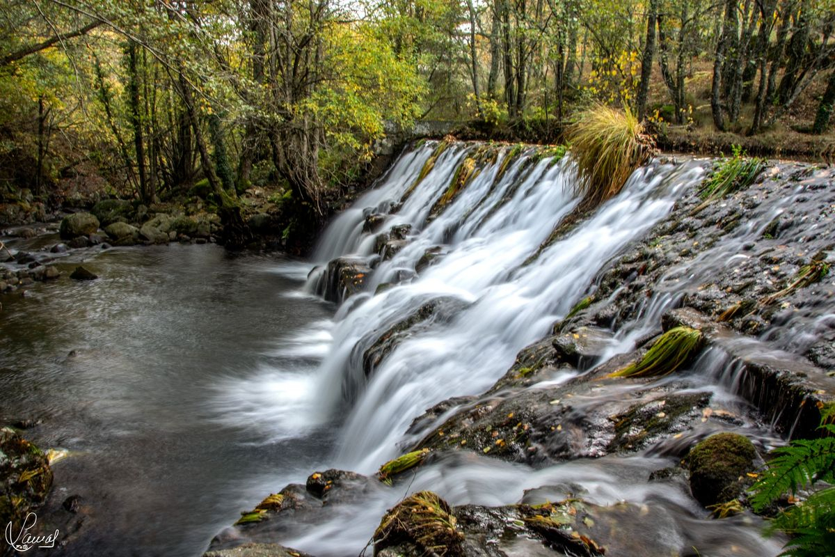 La vida que siempre has soñado 