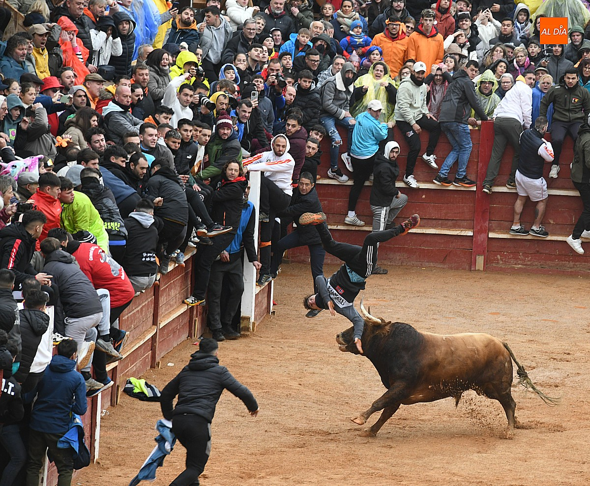 Multicía se encargará de asegurar el Carnaval del Toro 2026 con una rebaja de casi 2.000€