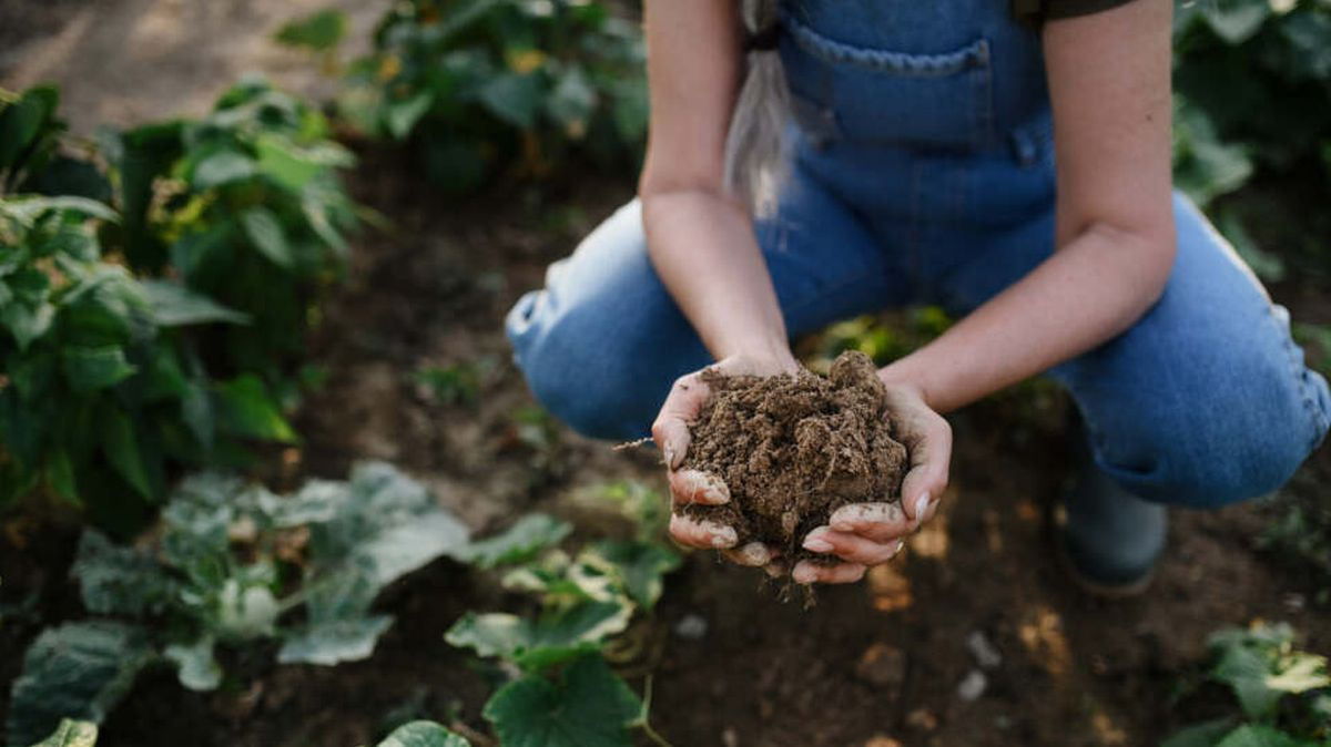 Abiertas las inscripciones para el curso online Grow Learn sobre agricultura sostenible
