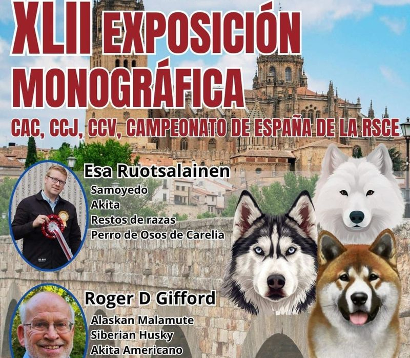Los mejores perros nórdicos de España se darán cita en el Recinto Ferial por el campeonato nacional