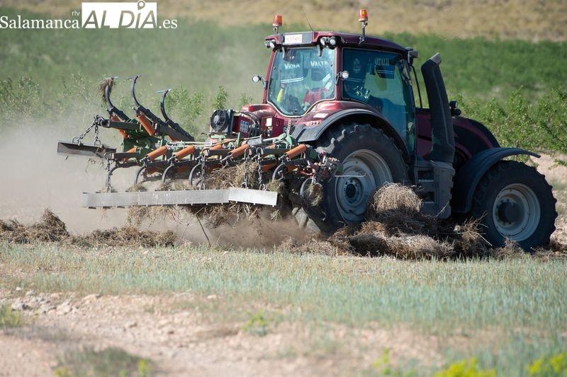 UPA Salamanca augura una disminución drástica en la siembra de cereal y colza por el clima y la baja rentabilidad