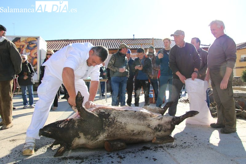 Galinduste celebra su Matanza Tradicional el 13 de diciembre con un completo programa festivo