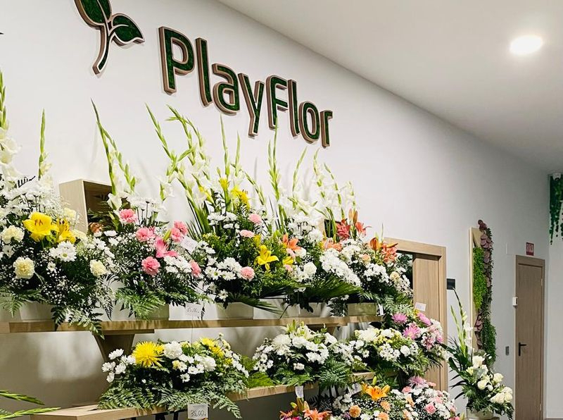 La floristería Playflor busca personal en Salamanca para contrato indefinido y jornada completa