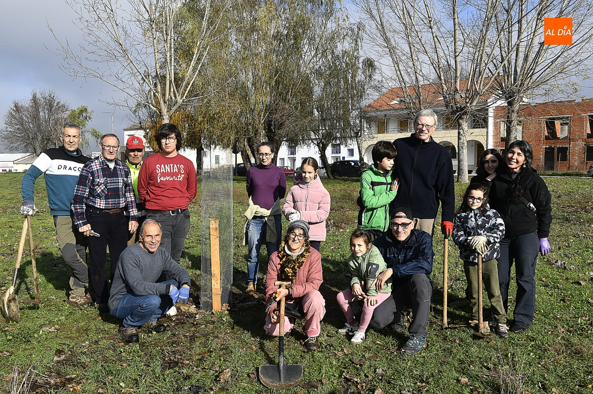 ASENAVIS impulsa la reforestación del Regato de Bodón con pinos piñoneros
