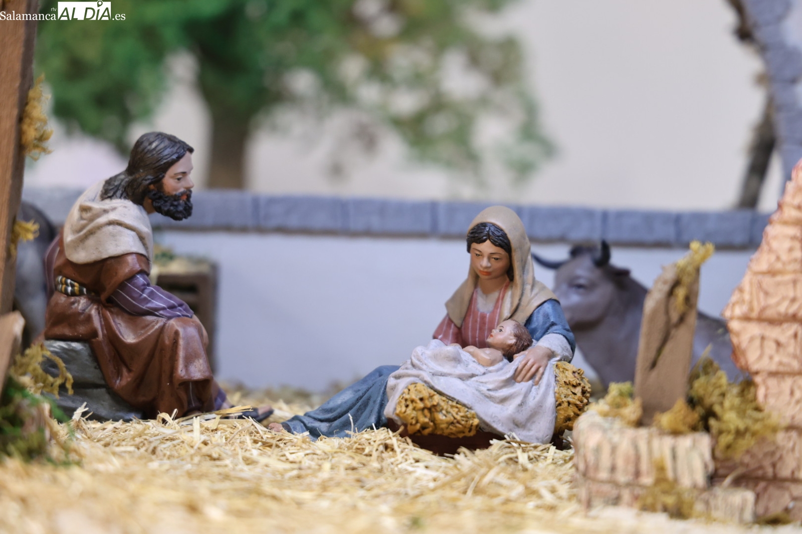 Savia nueva para una tradición centenaria: los jóvenes impulsan el renacer del belenismo en Salamanca