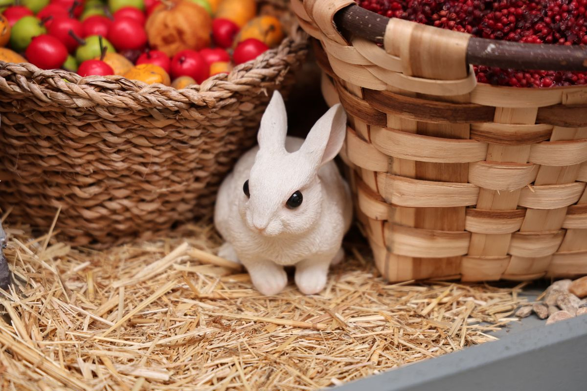 El poder de la imaginación 