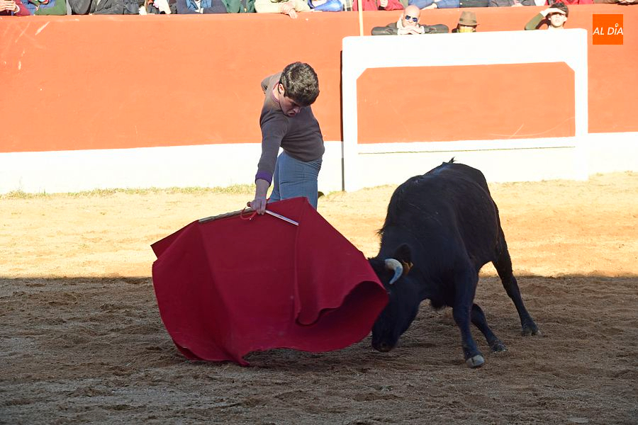 Siete jóvenes salmantinos aspiran a triunfar en la 70ª edición del Bolsín Taurino Mirobrigense