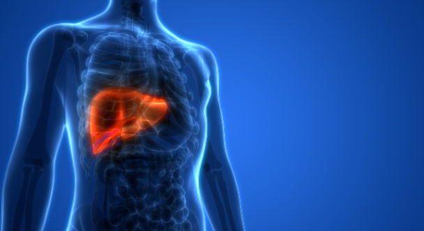 Un avance en Salamanca abre nuevas vías para tratar el cáncer de hígado más común