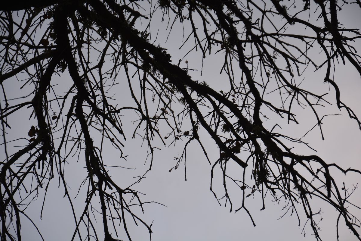 Los recuerdos de niñez de Unamuno