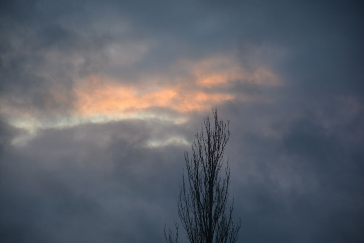 La noche del invierno