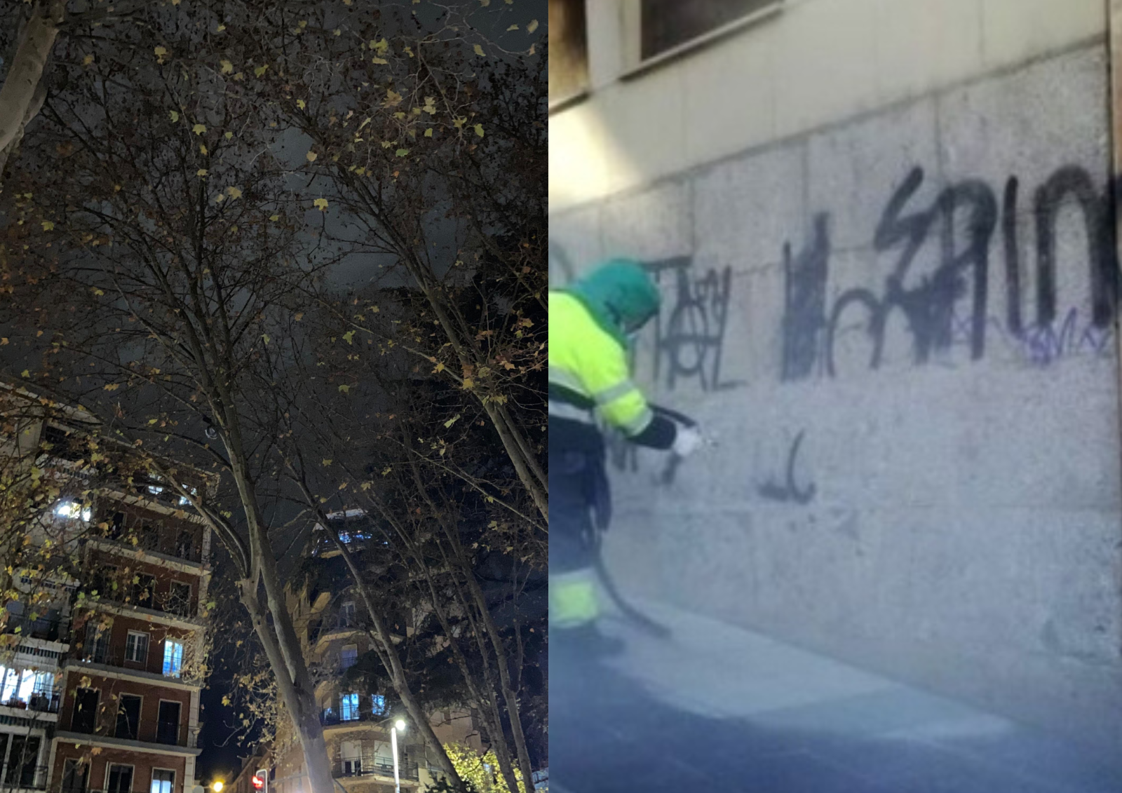 Estorninos y grafitis: la doble batalla diaria a la que se enfrente el servicio de limpieza de Salamanca