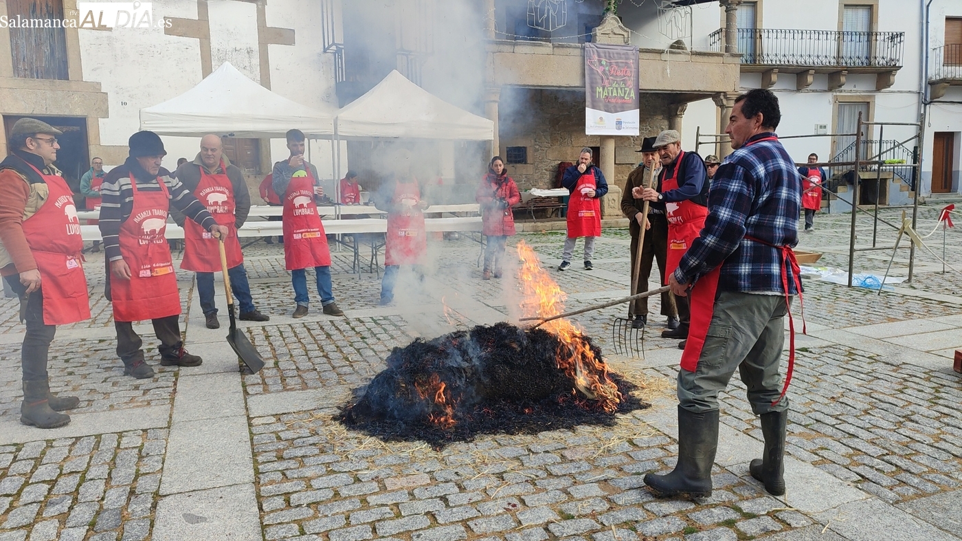 Lumbrales celebra su matanza tradicional con un cerdo de 180 kilos, folclore y gastronomía