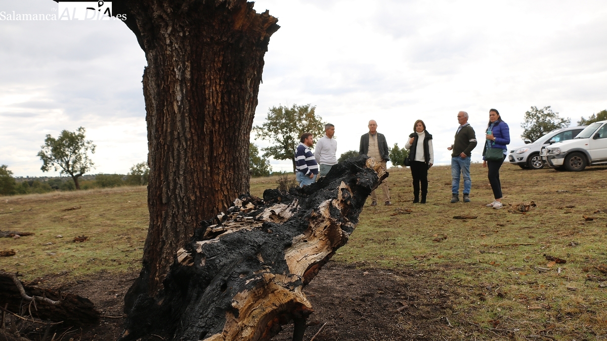 Los ganaderos de Salamanca afectados por los incendios comienzan a recibir las ayudas del Gobierno