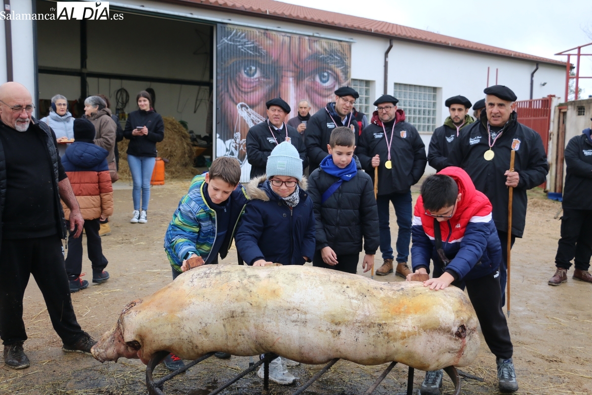 La lluvia no resta ambiente matancero en Barruecopardo durante la Fiesta de la Matanza Tradicional