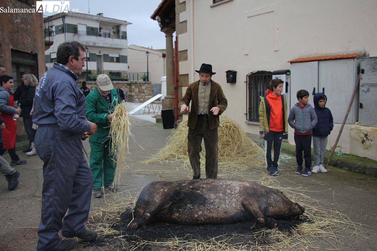 Sobradillo vive la VII Fiesta de la Matanza tradicional con una gran participación vecinal