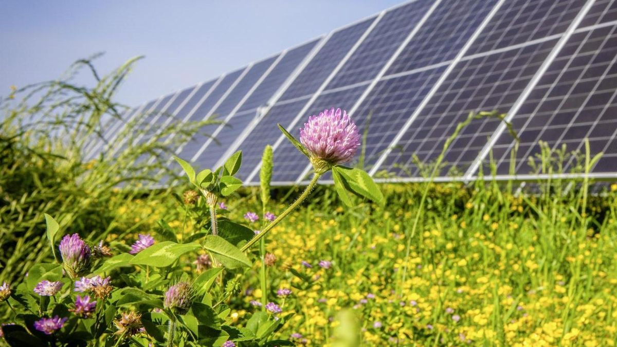 Mega central fotovoltaica quiere instalarse en la frontera y provoca gran contestación social en Portugal