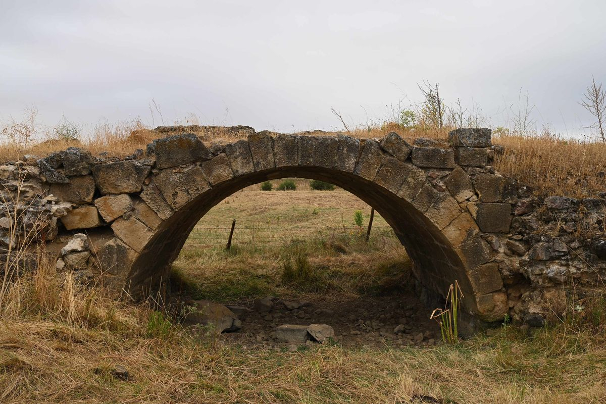 El mundo de las emociones  