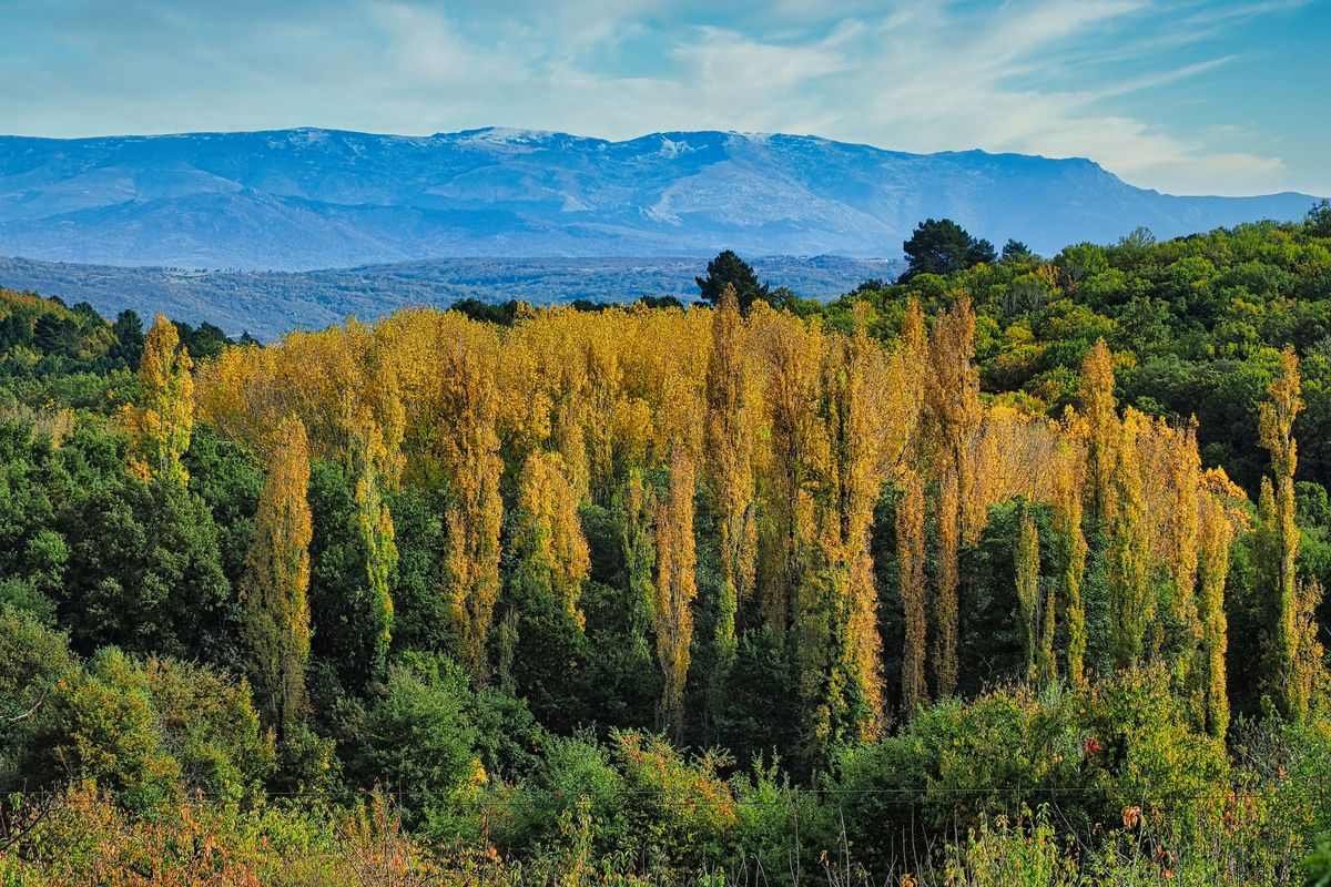 Mucho más que respirar