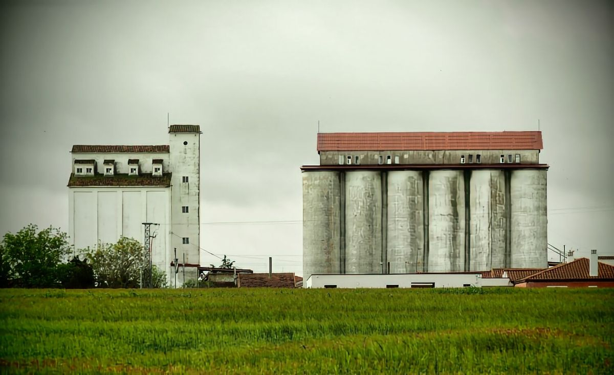 Colosos en la Armuña 