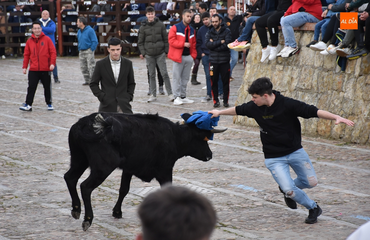 El Carnaval del Toro busca hostelero para instalar barra de bar en su jornada final 
