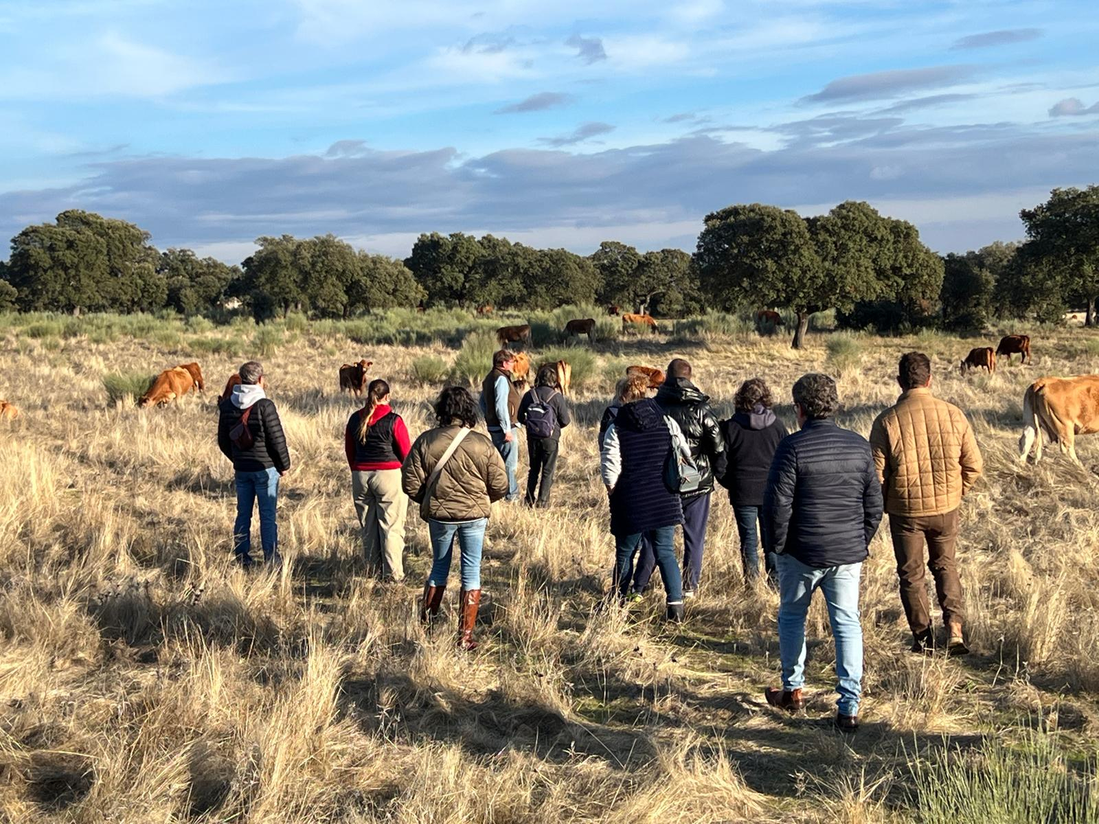 Ganaderos salmantinos viajan a Cáceres para conocer un modelo de dehesa regenerativa