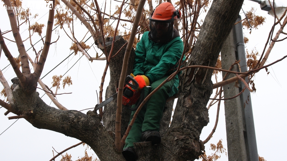 El Ayuntamiento de Lumbrales formará a 12 alumnos en jardinería y prevención de incendios
