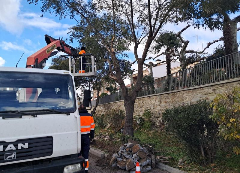 El Ayuntamiento de Alba de Tormes acomete trabajos de mejora en infraestructuras y jardinería en varias calles