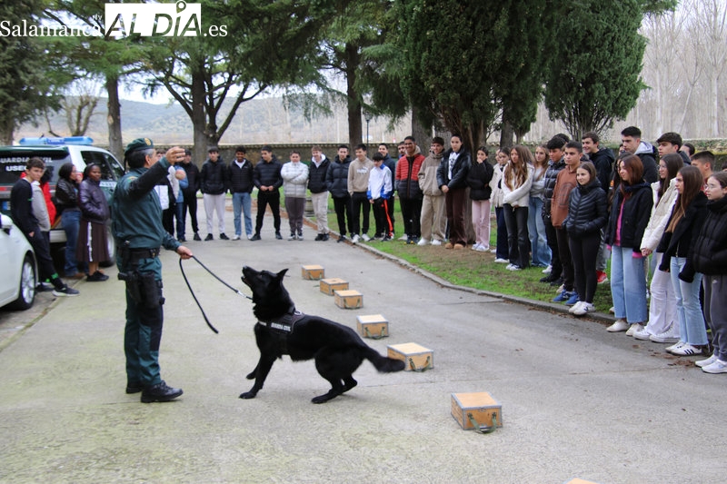 El Plan Director de Seguridad Escolar llegará a la casi totalidad de alumnos de secundaria de la provincia