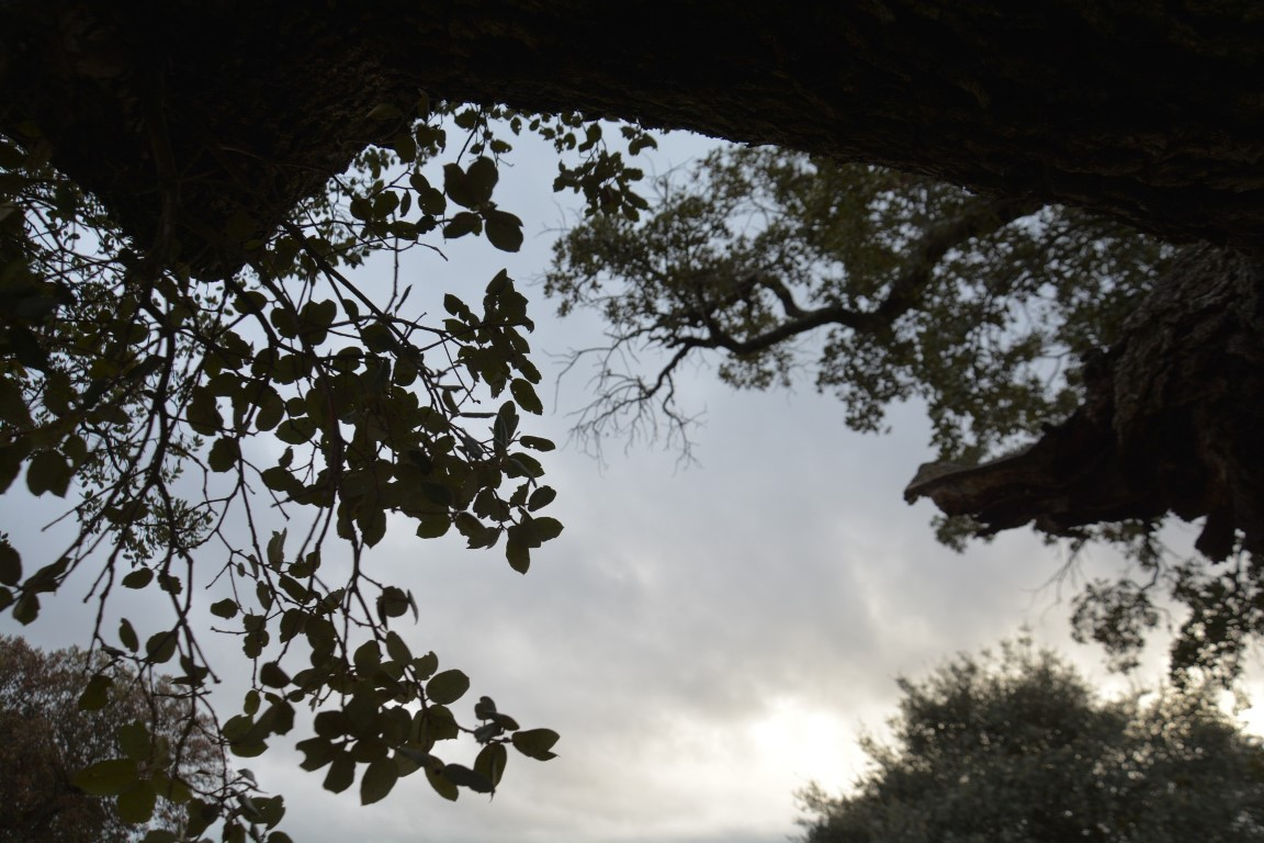 Misivas del otro lado